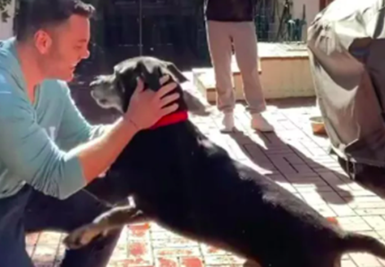 Tiziano Ferro adotta un cane. Il video